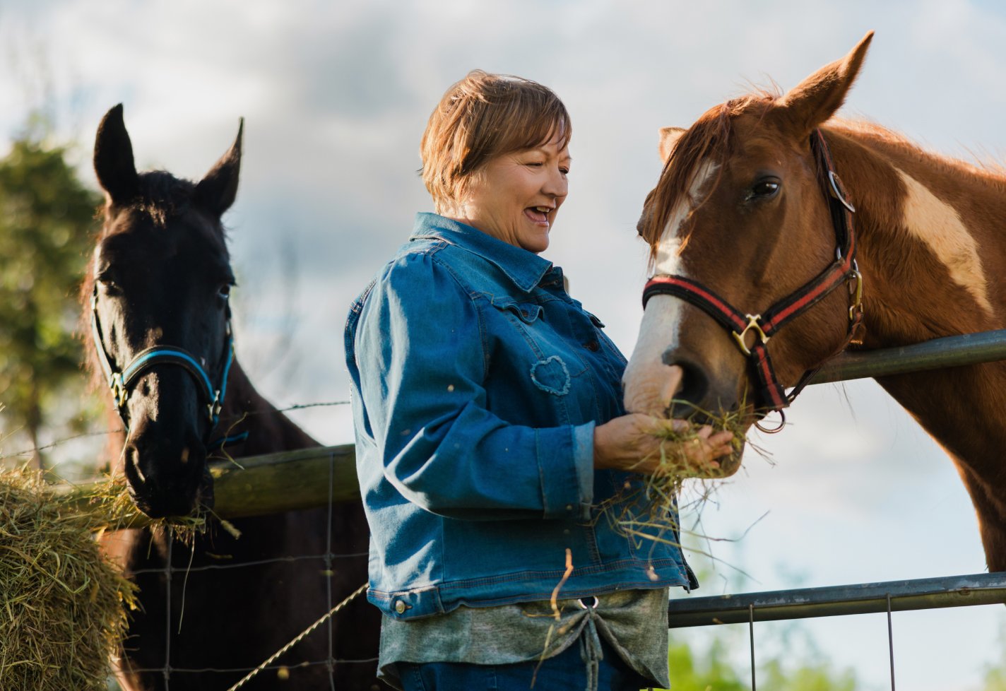 Pam Ward feeding horses